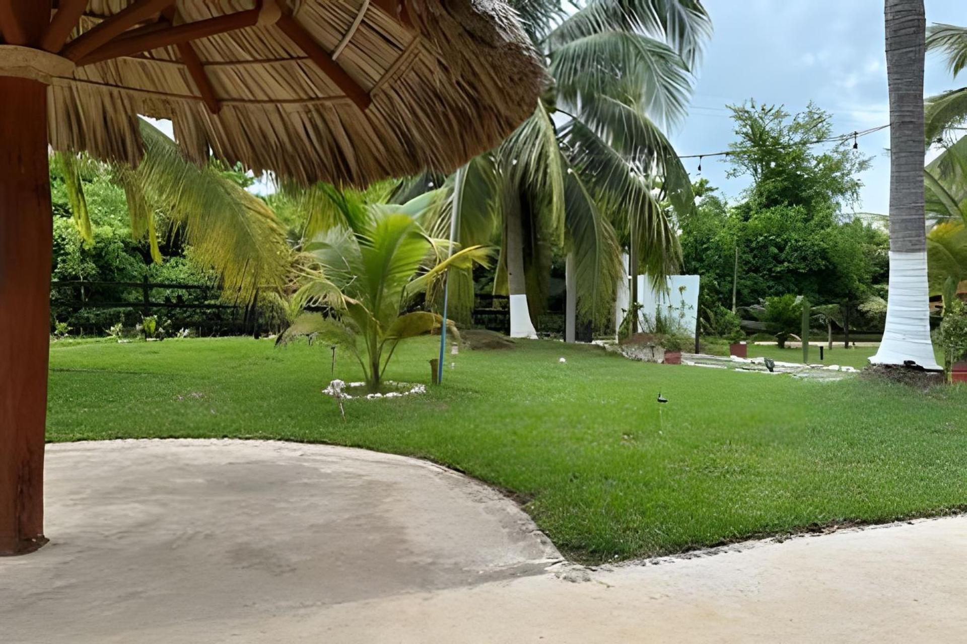 Casa Las Palmas Playa La Saladita Zihuatanejo Ngoại thất bức ảnh