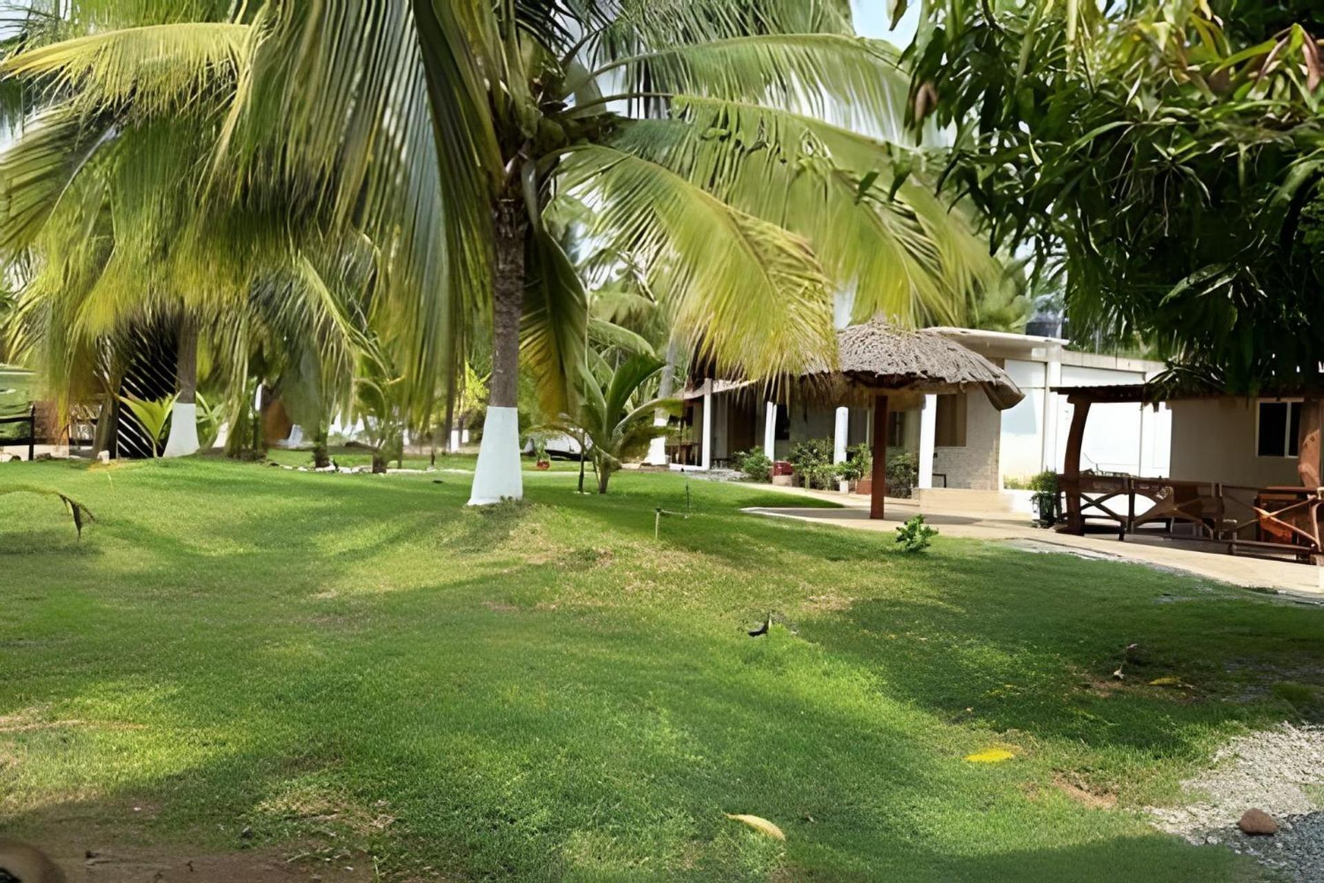 Casa Las Palmas Playa La Saladita Zihuatanejo Ngoại thất bức ảnh