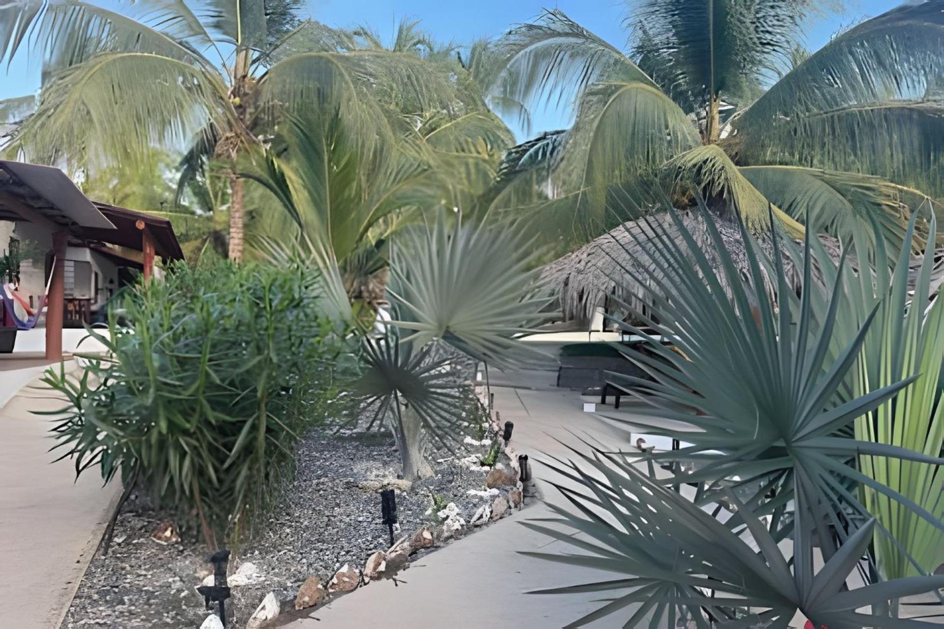 Casa Las Palmas Playa La Saladita Zihuatanejo Ngoại thất bức ảnh