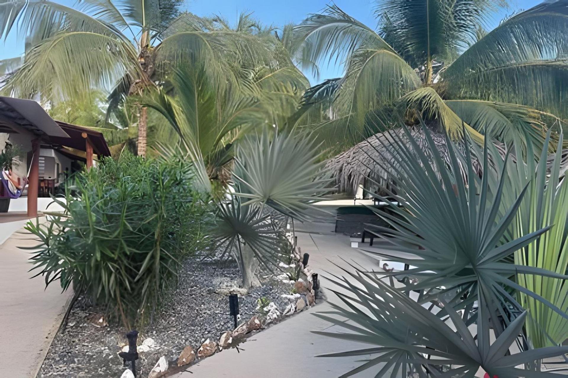 Casa Las Palmas Playa La Saladita Zihuatanejo Ngoại thất bức ảnh