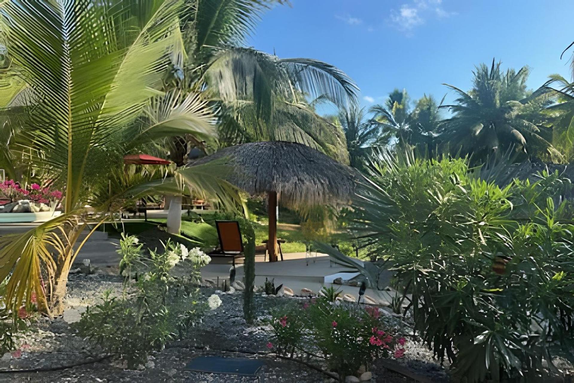 Casa Las Palmas Playa La Saladita Zihuatanejo Ngoại thất bức ảnh