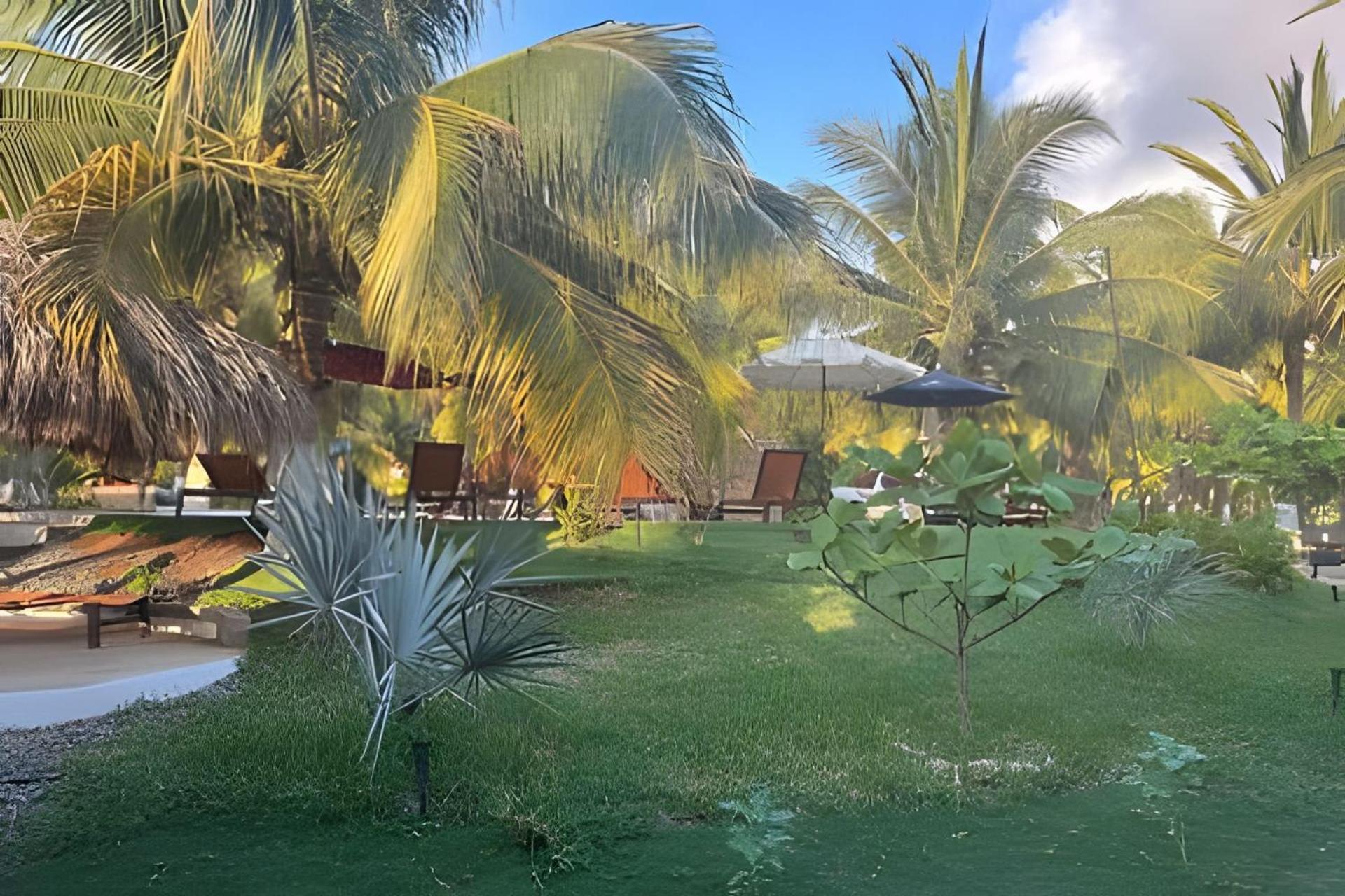 Casa Las Palmas Playa La Saladita Zihuatanejo Ngoại thất bức ảnh
