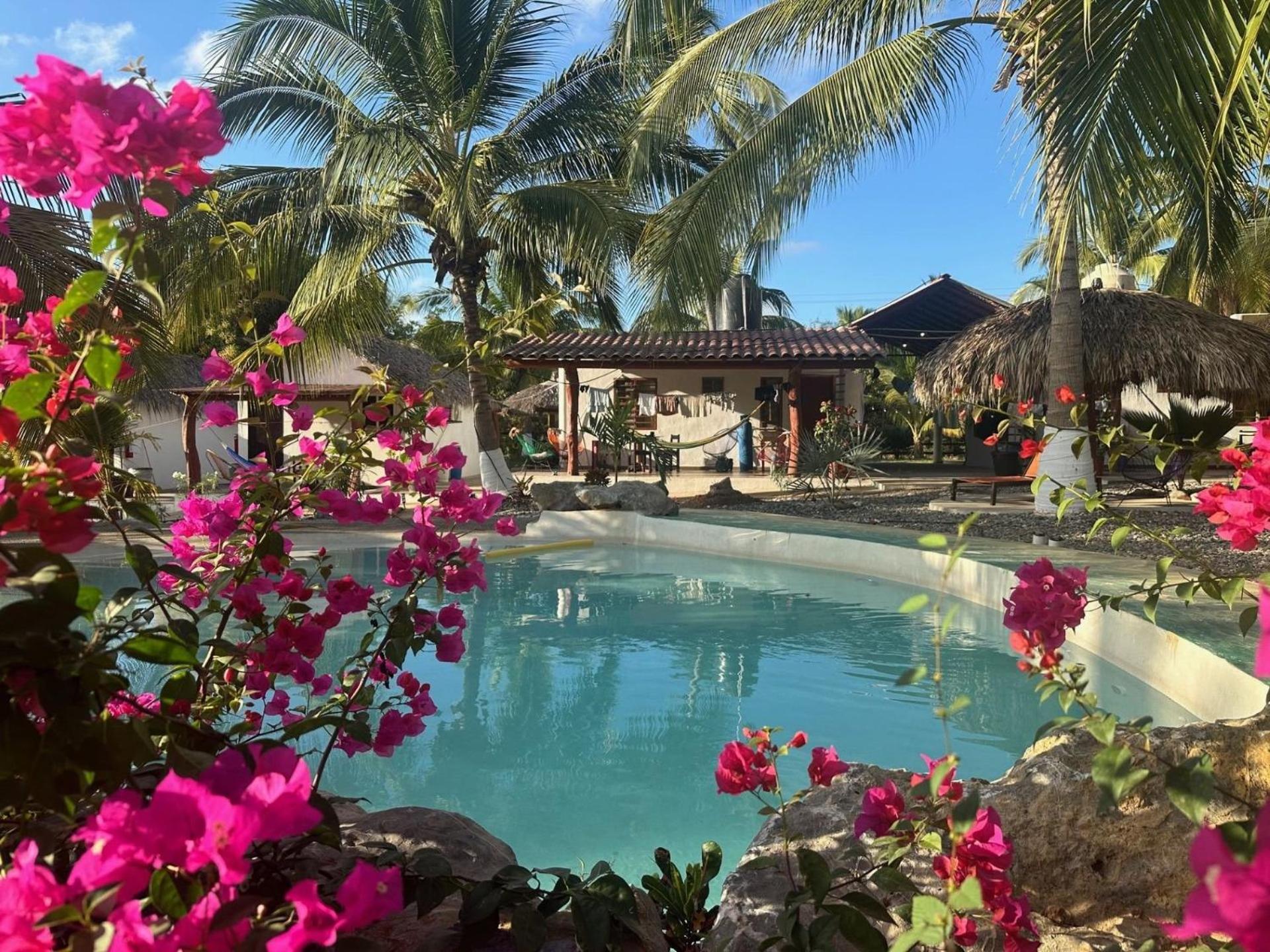Casa Las Palmas Playa La Saladita Zihuatanejo Ngoại thất bức ảnh