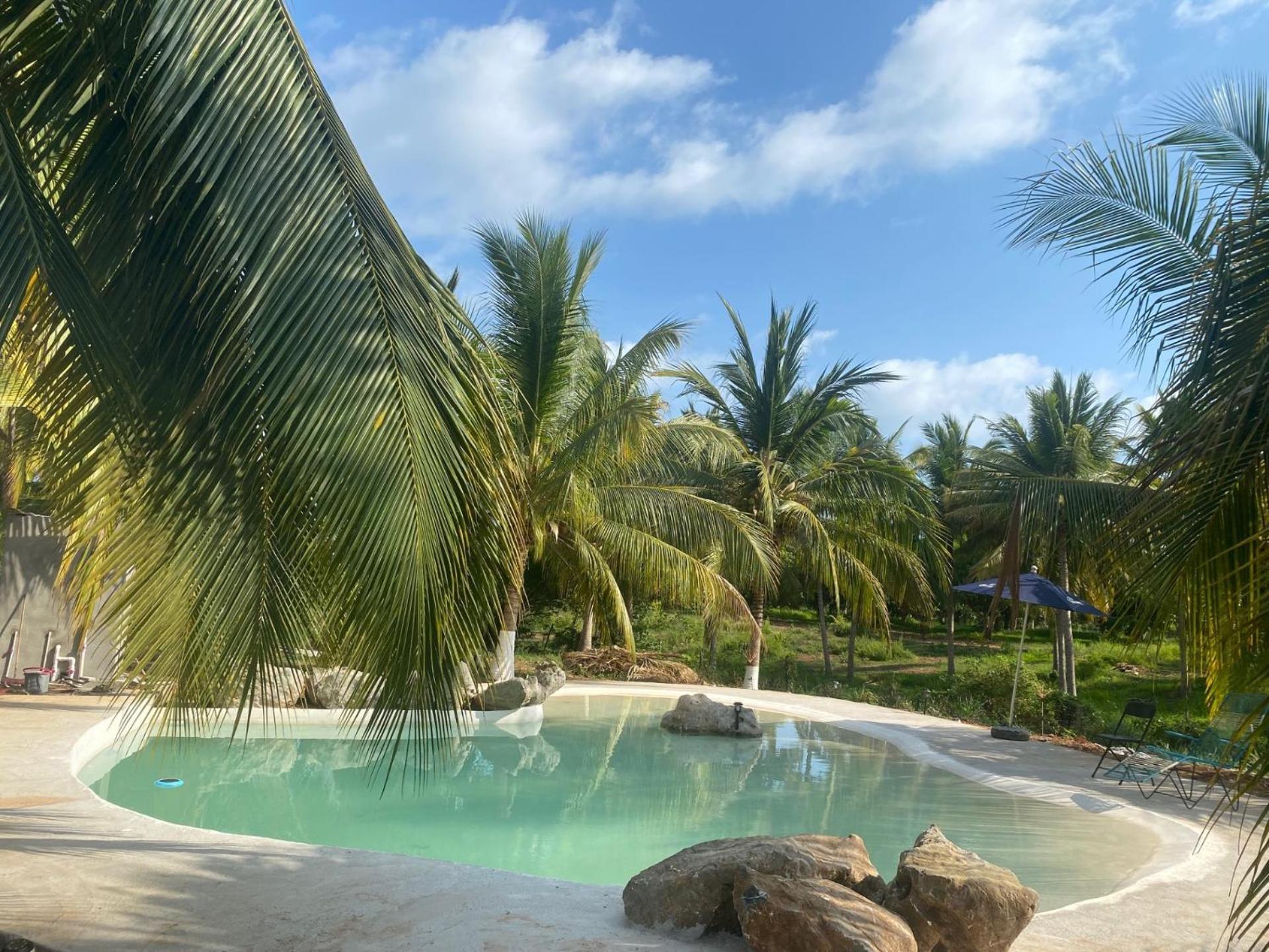Casa Las Palmas Playa La Saladita Zihuatanejo Ngoại thất bức ảnh